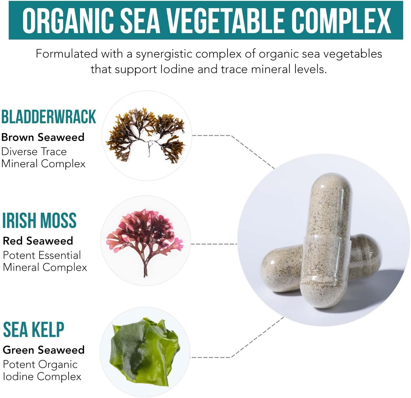Organic Iodine Supplement from Sea Vegetable Complex, Whole Food & Raw Form - Iodine Plus Trace Mineral Complex ¨C Contains Purest Icelandic Sea Kelp, Irish Moss & Bladderwrack (250 mcg)