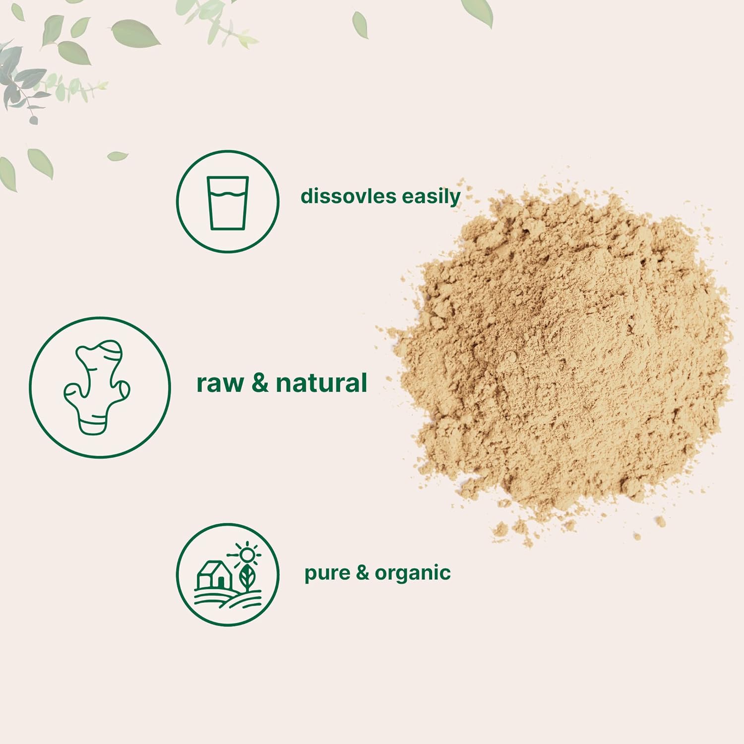 Organi Ginge powder 2lb (32oz Premiu Sourc fo Spic Seasonin Grea fo Baking Cookin Te Additiv Free Non-GMO Bul Supply