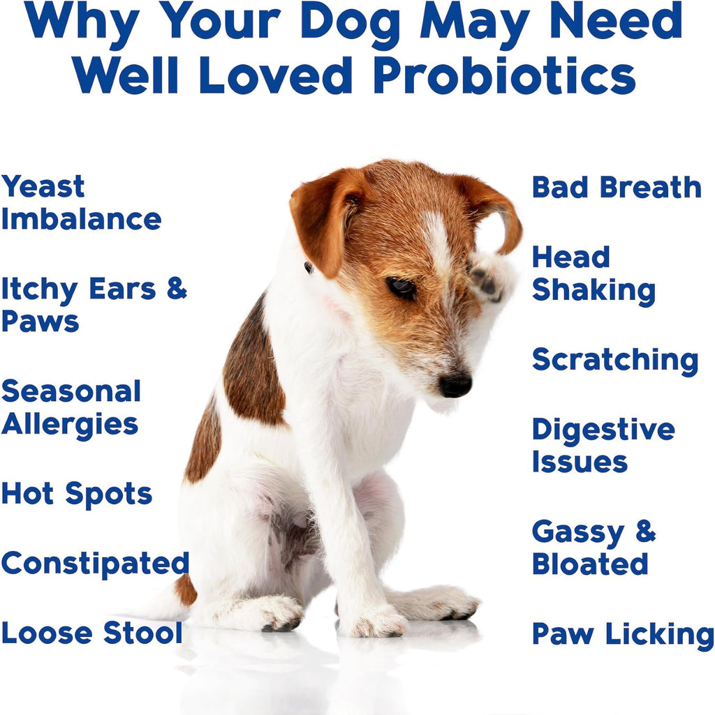 Probiotic fo Dogs Do Probiotics Mad i USA Ve Develope fo Gu Health Yeas Balance Itch Skin Diarrhe Ga Relief Chew wit Prebioti Digestiv Enzymes Digestiv Support