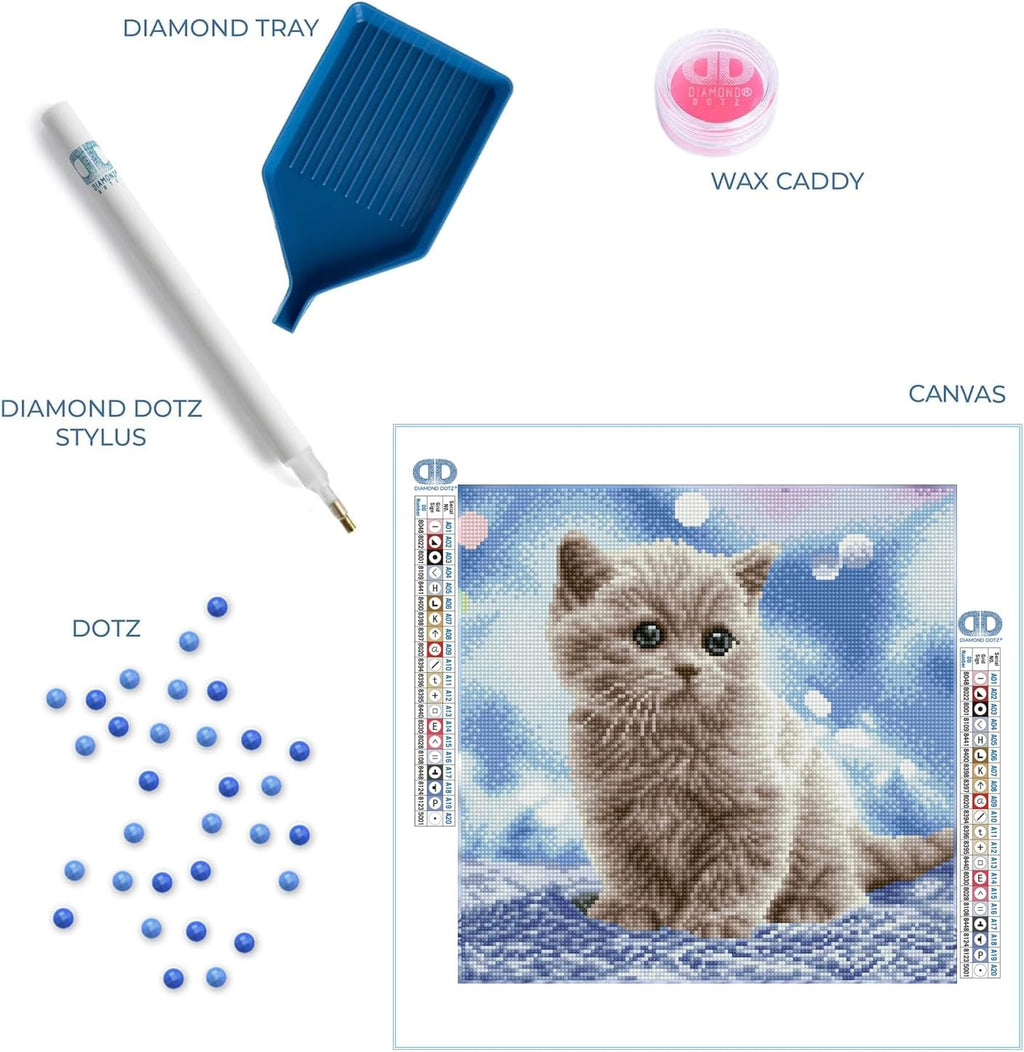 DIAMON DOT Bubble Diamon Paintin Kit fo Adult Diamon Ar Kit Relaxin Creativ Craf Ki wit Dot Gem 13.6x13.6