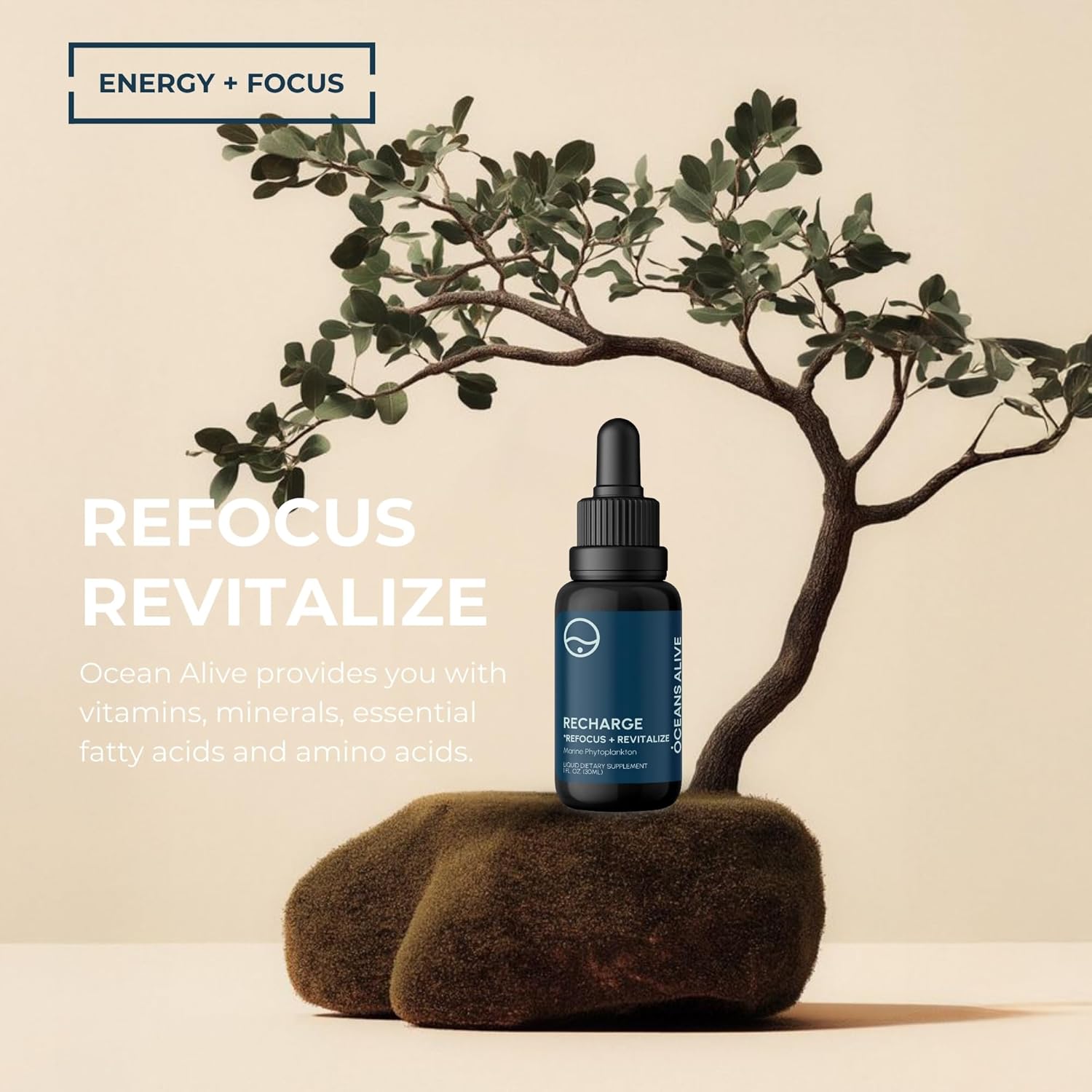 Activatio Ocean Aliv  f o (3 ml Marin Phytoplankto Supplemen Chlorophyl Mineral-Ric Formul fo Energ Focu Natura Antioxidan Drops