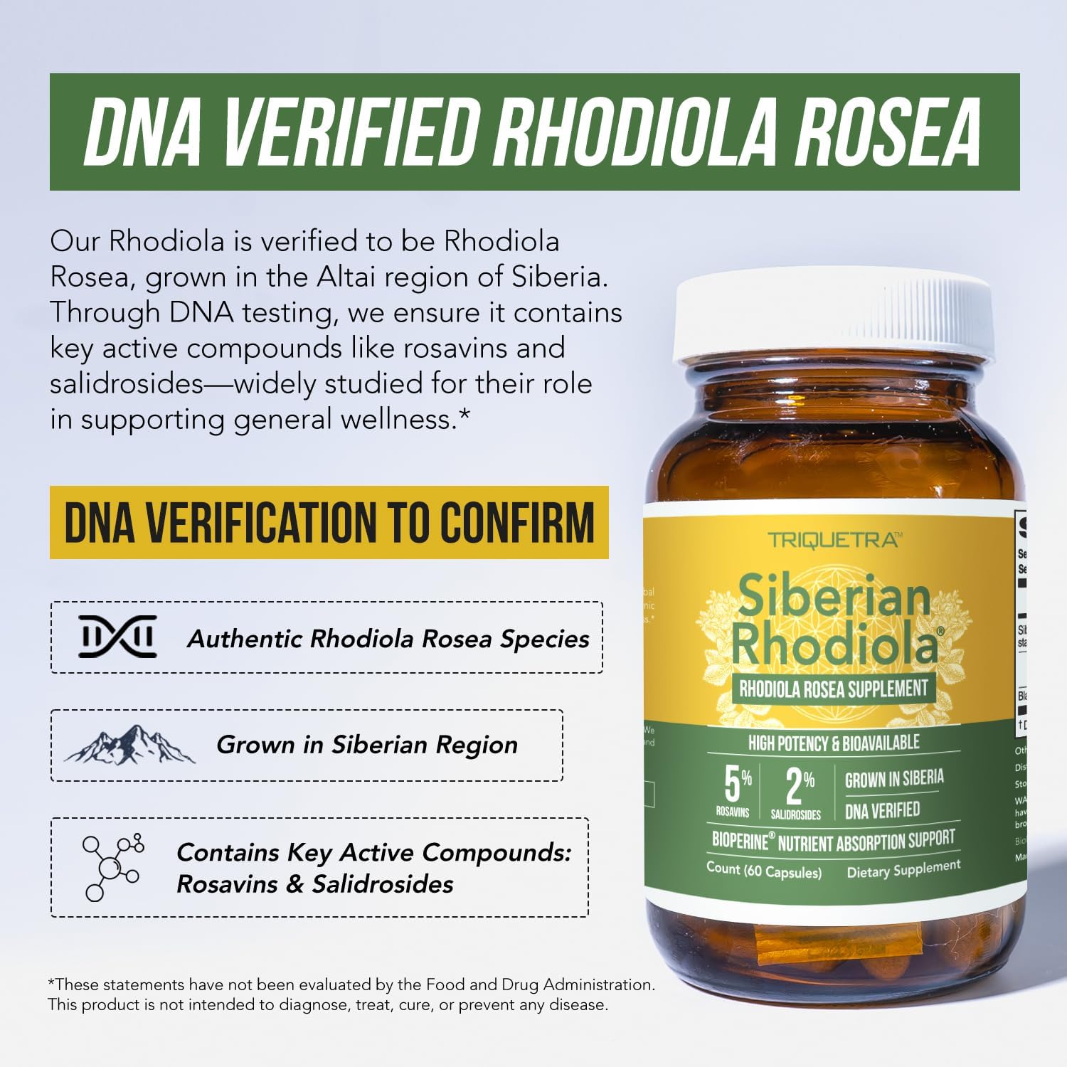 Ma Strengt Siberia Rhodiola? Rhodiol Rose 5 Rosavins 2 Salidrosid BioPerine fo Enhance Absorptio Help Suppor Stress Energ Focus Grow i Siberia DN Verifie (6 Capsules)