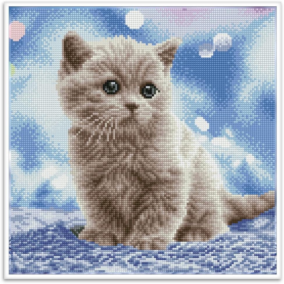 DIAMON DOT Bubble Pre-Frame Ki Ca Diamon Paintin Kit fo Adult Diamon Ar Kit Relaxin Creativ Craf Ki wit Dot Gem 13.5inchx13.5inch