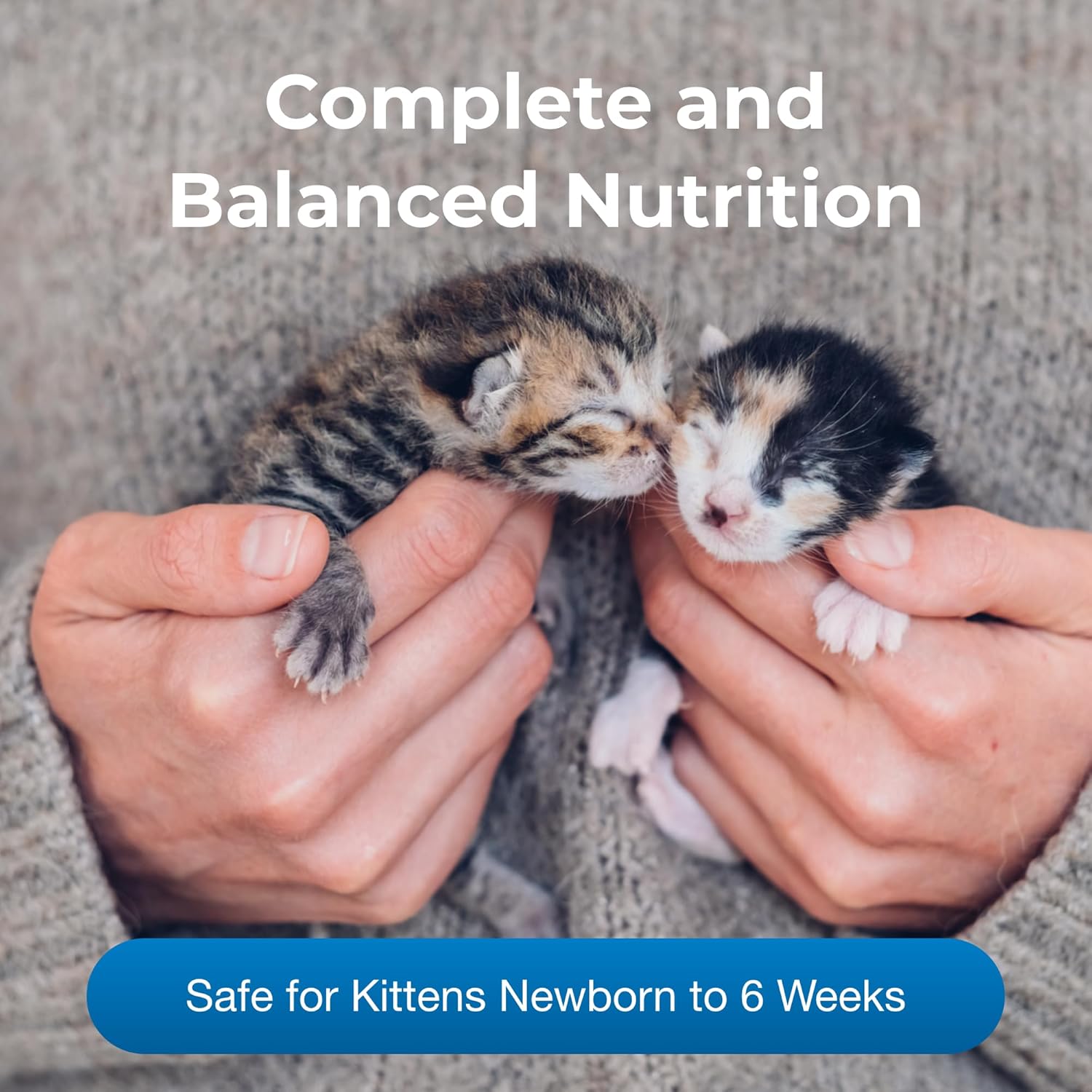 Pet-A PetLa Powde fo Kitten 10. o Kitte Mil Replacemen Powde fo Kitten Newbor t Si Week Ol Eas t Digest