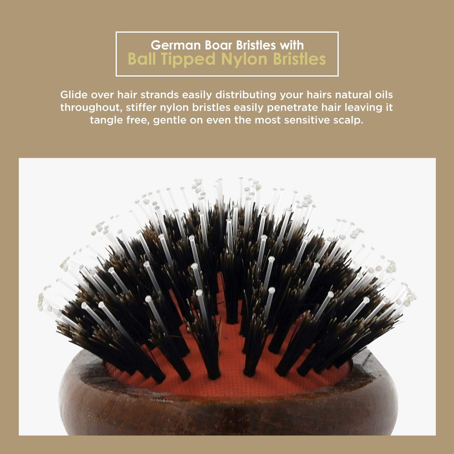 Spornett Boa Bristl Hai Brus fo Wome Porcupin Brus wit Germa Boa an Nylo Bristle fo Detangling Straightenin Smoothin Fo Al Hai Types