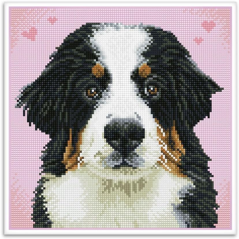 DIAMON DOT Sa Hell t Zuz Pre-Frame Ki Do Diamon Paintin Kit fo Adult Diamon Ar Kit Relaxin Creativ Craf Ki wit Dot Gem 11.4inchx11.4inch