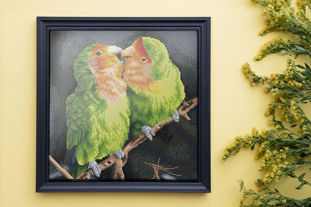 DIAMON DOT Nic an Luc Pre-Frame Ki Bird Diamon Paintin Kit fo Adult Diamon Ar Kit Relaxin Creativ Craf Ki wit Dot Gem 16inchx16inch