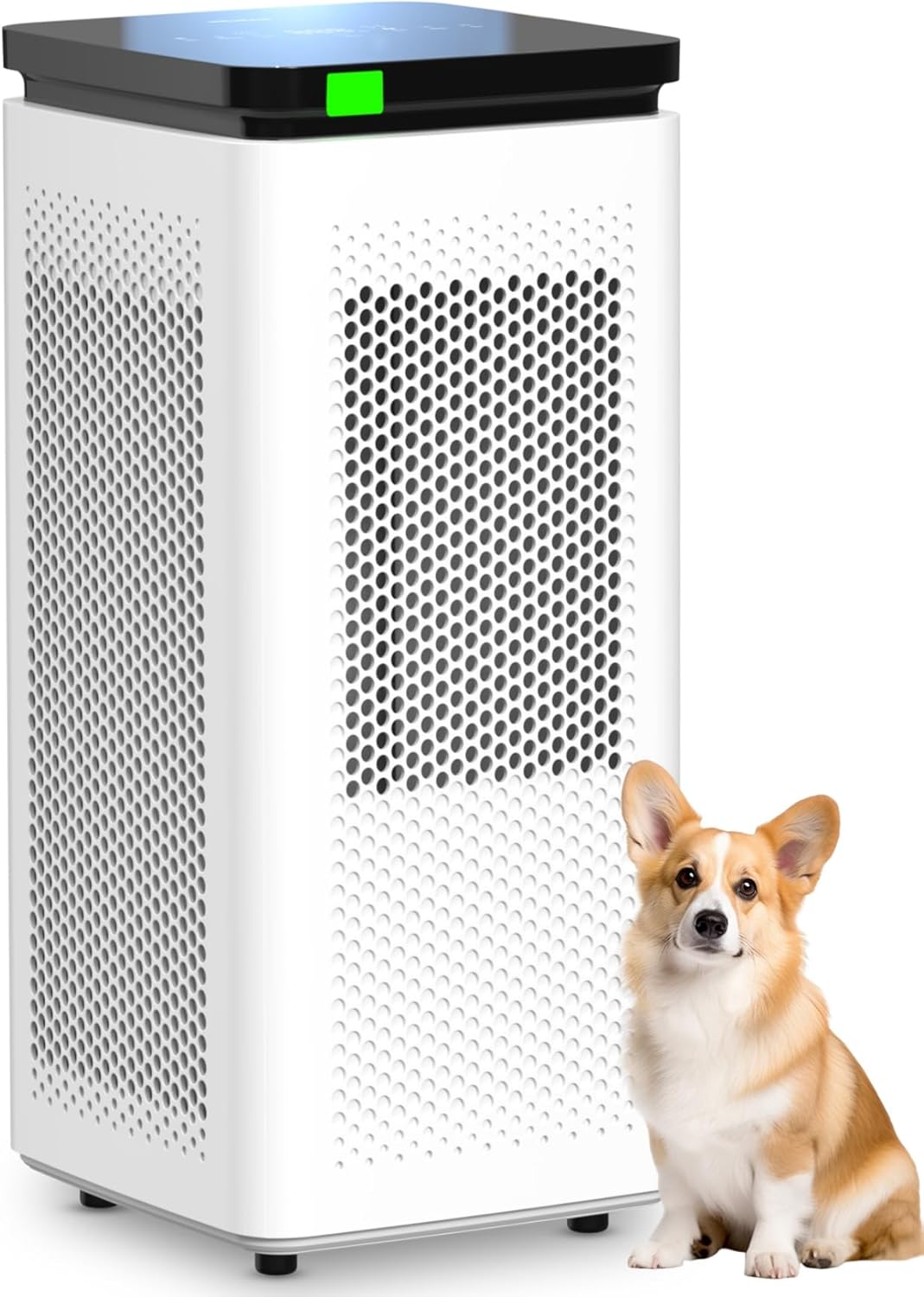 Ai Purifier fo Hom Larg Room u t 350 Ft2 H1 Tru HEP 0. Micro 99.97 Filtratio wit Carbo Filter 23 CF CADR Remove Allergens Pe Odor Smoke VOCs 30d Slee Mode PM2. Display