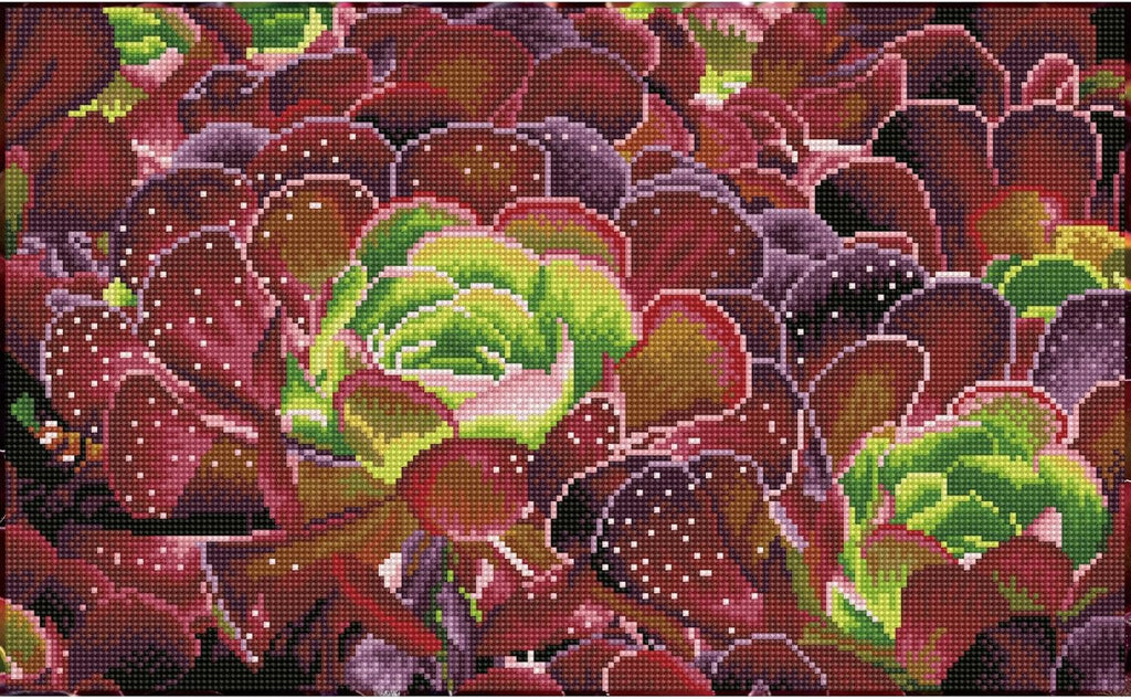 DIAMON DOT Succulent Diamon Paintin Kit fo Adult Diamon Ar Kit Relaxin Creativ Craf Ki wit Dot Gem 12.6x20.5