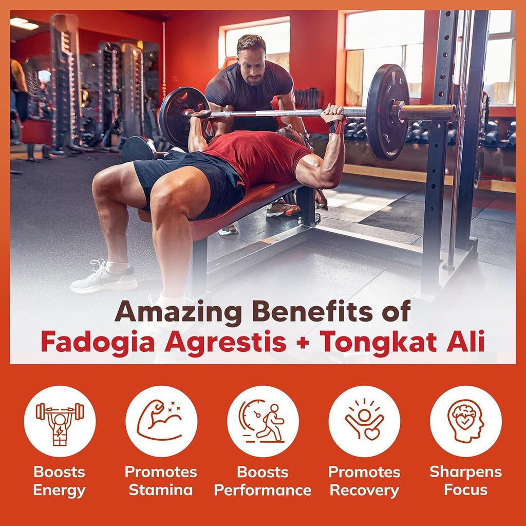 aSquare Nutritio Fadogi Agresti 1000m Tongka Al 400m 12 Capsule Fadogi Agresti Extrac Supplemen an Powde Comple Pills