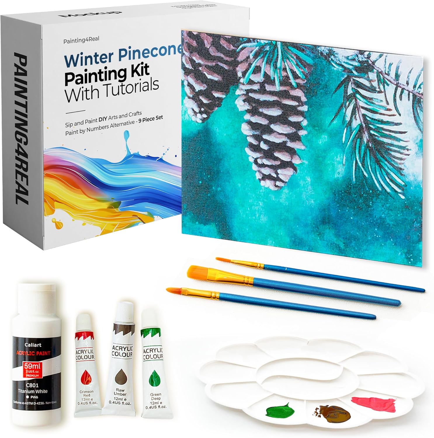 Painting4Rea DI Paintin Clas Ki fo Adult wit Vide Tutorials Lear t Pain Winte Pinecone Ho t Pain wit Acrylic Paintin Ar Supplie  Piec Acryli Pain Set