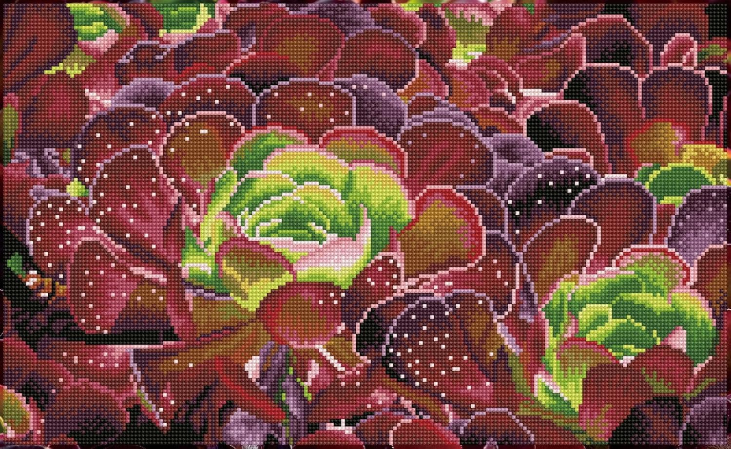 DIAMON DOT Succulent Pre-Frame Ki Plan Diamon Paintin Kit fo Adult Diamon Ar Kit Relaxin Creativ Craf Ki wit Dot Gem 20.5inchx12.6inch