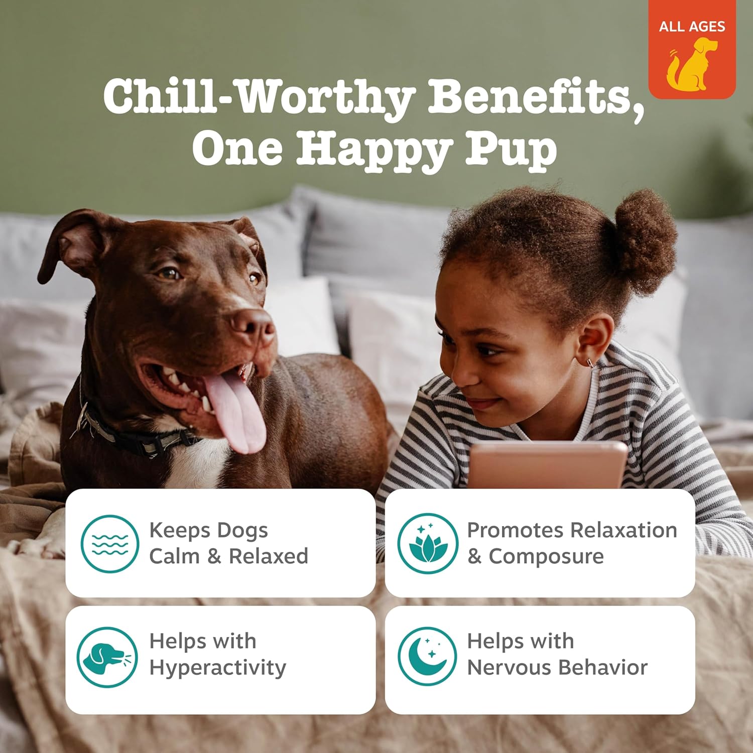 Zest Paw Flavore Sof Chew Calmin fo Dog Anxiet Composur Relie wit Ashwagandh Melatoni Chamomil Passionflowe Do Stres Separatio Ai fo Firework an Thunde 2 oz