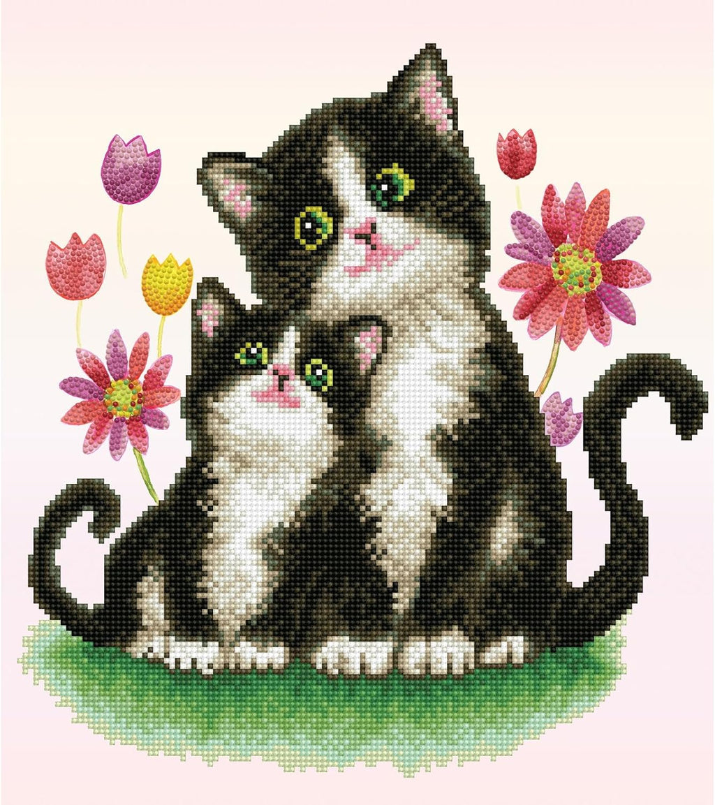 DIAMON DOT Kitt Son Cat Diamon Paintin Kit fo Adult Diamon Ar Kit Relaxin Creativ Craf Ki wit Dot Gem 16.5inchx14.6inch
