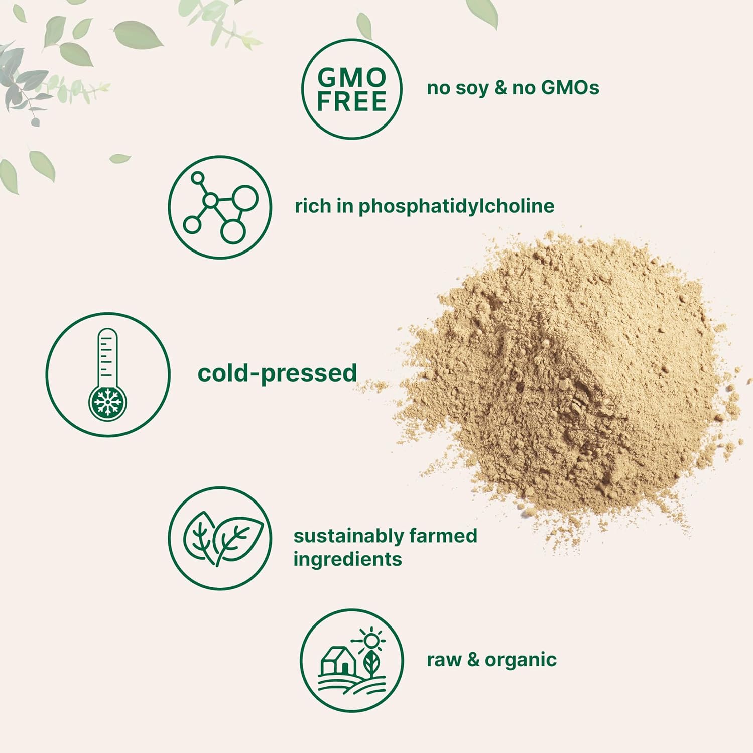 Micr Ingredient Organi Sunflowe Lecithi Powder Pound Sustainabl Farmed Col Pressed Ric i Phosphatidy Cholin an Protein Makin Liposoma Vitami C Lactatio Supplement Non-GMO