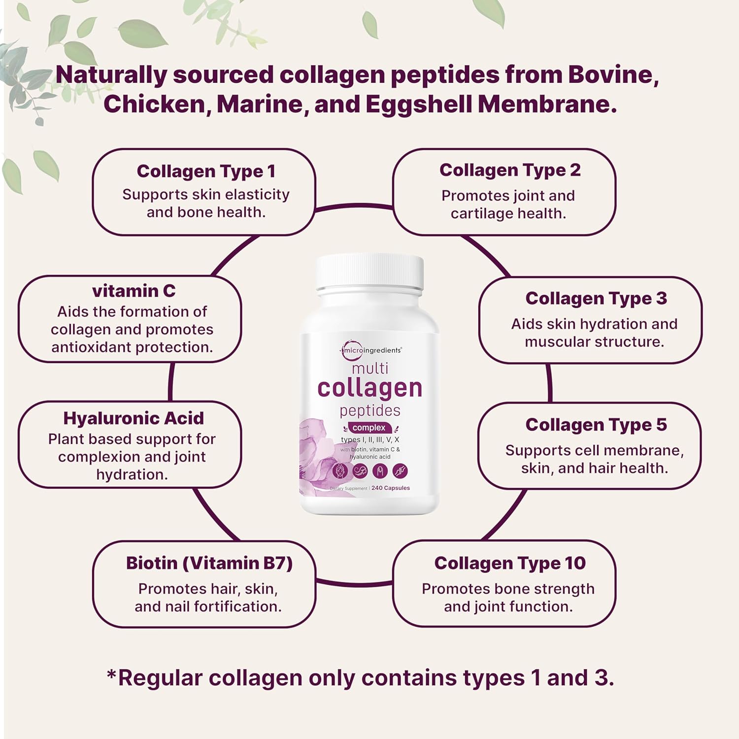 Micro Ingredients 2 Pack Multi Collagen Pills for Women Men, 480 Capsules | Type I, II, III, V, X | Hydrolyzed Peptides with Biotin, Hyaluronic Acid, Fat Soluble Vitamin C Complex | Filler Free