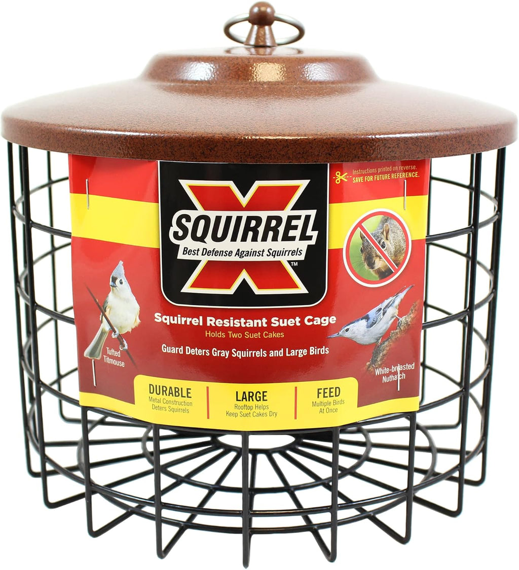 Mor Bird Bir Feeder Doubl Cage