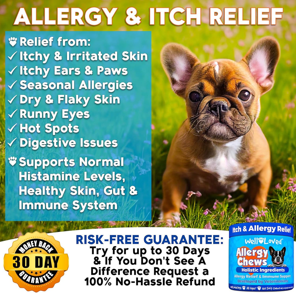 Do Allerg Chew Do Allerg Relief Itchin Ski Relief Ho Spo Treatmen Seasona Allergies Ve Developed Ant Itc Ski Irritatio Treatment Mad i USA 12 Chews