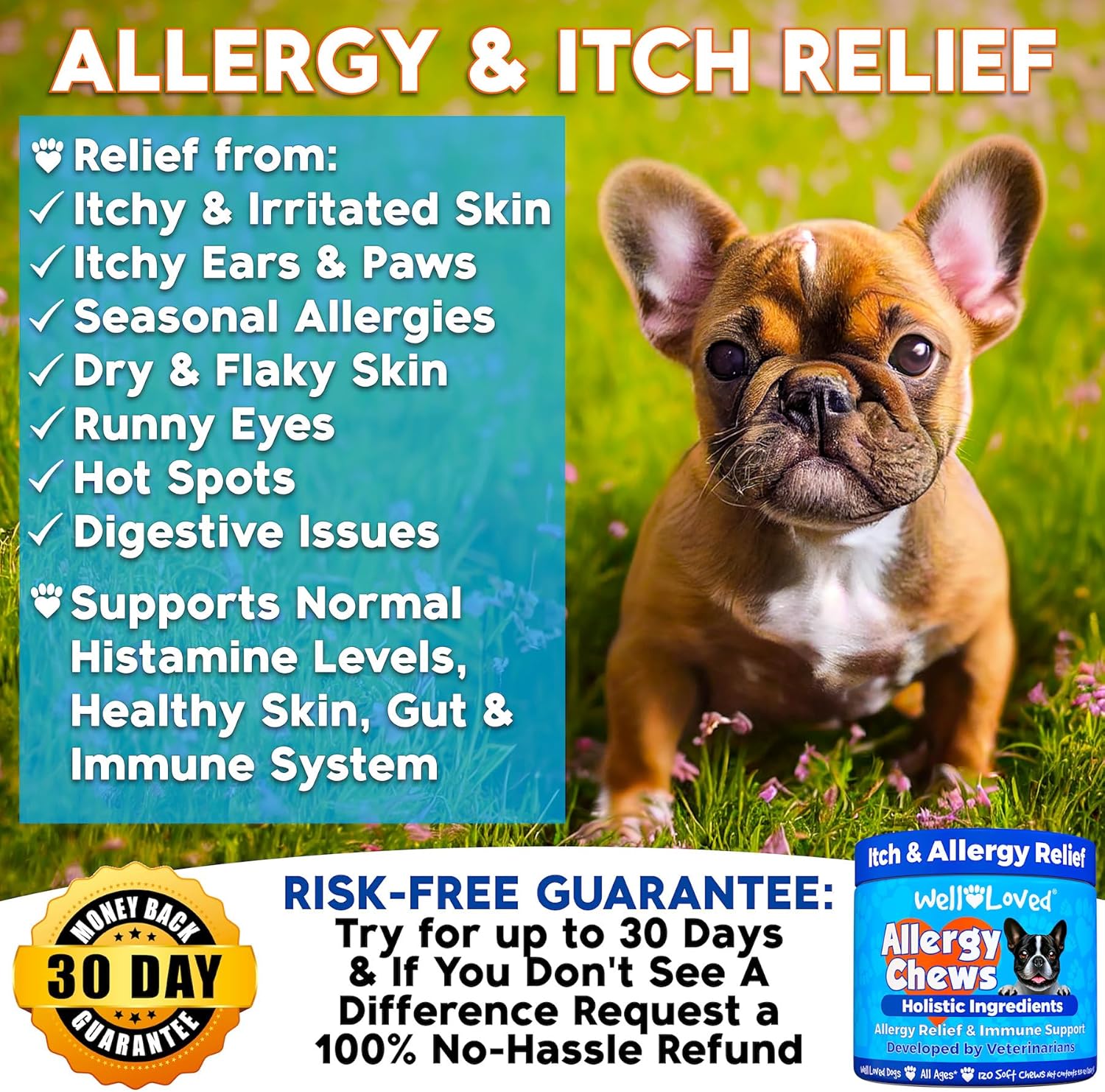 Do Allerg Chew Do Allerg Relief Itchin Ski Relief Ho Spo Treatmen Seasona Allergies Ve Developed Ant Itc Ski Irritatio Treatment Mad i USA 12 Chews