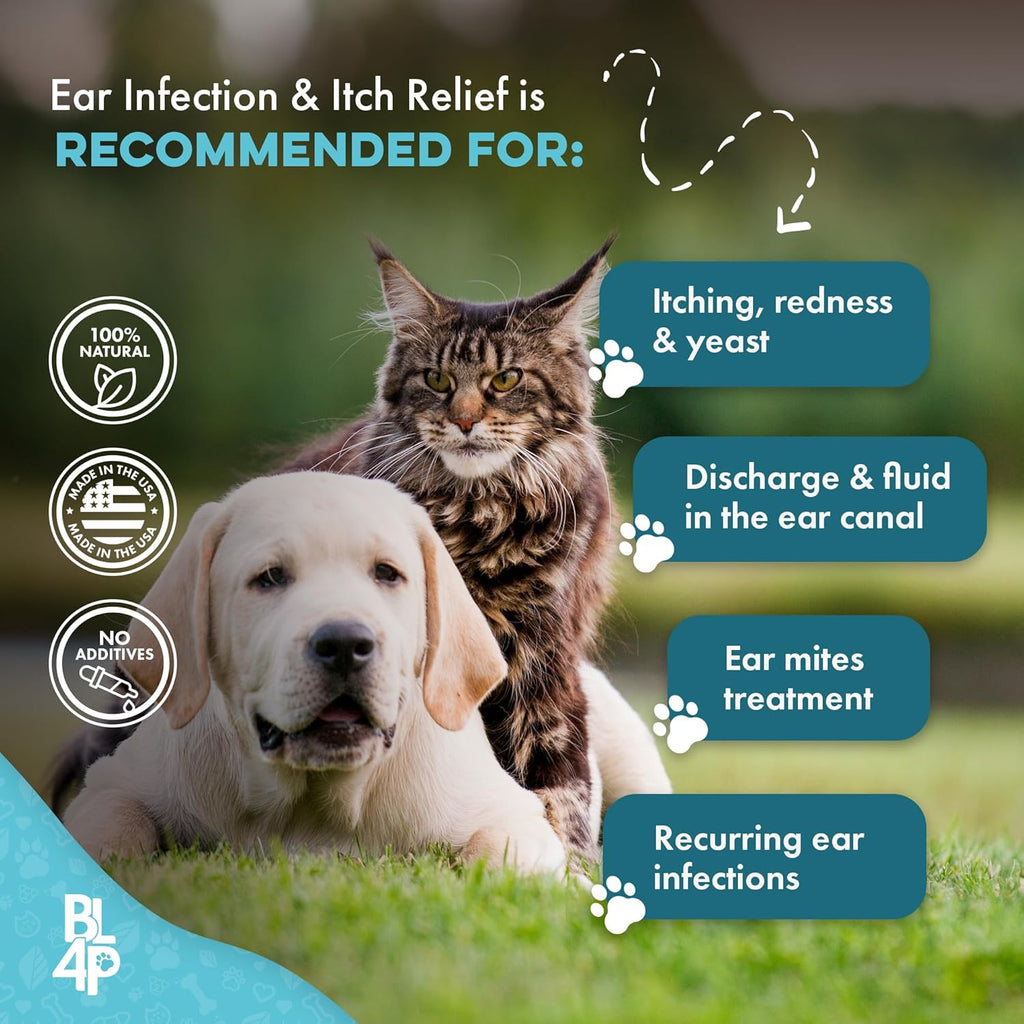 Itc Relie an Ea Infectio Treatmen fo Dog Cats Natura Ea Mite Treatmen fo Cat an Dog Soothe Itch Ears Reduce Swelling Otitis Pai Inflammation 40 Eas t Giv Tin Pills