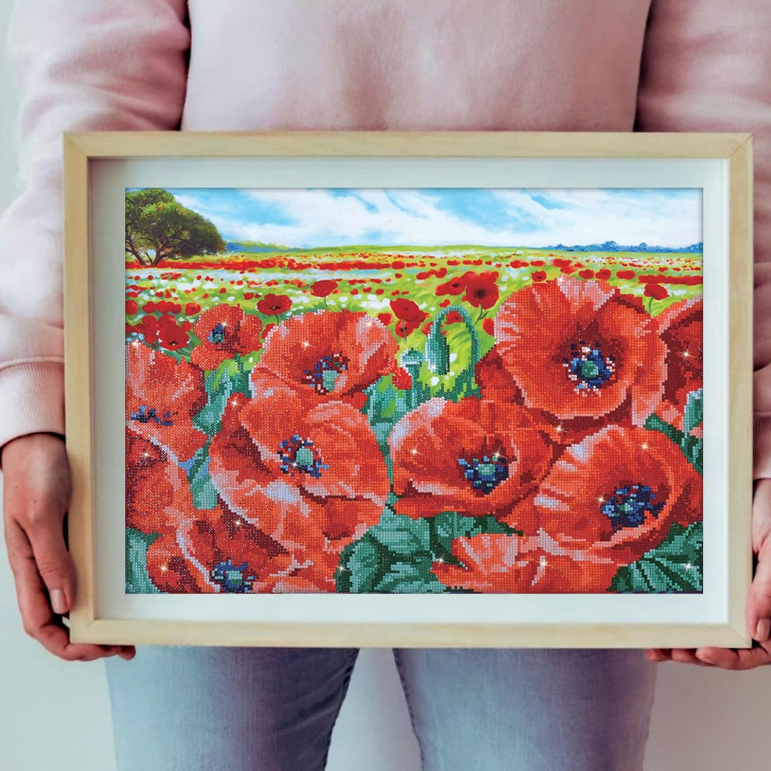 DIAMON DOT Re Popp Fiel Flora Diamon Paintin Kit fo Adult Diamon Ar Kit Relaxin Creativ Craf Ki wit Dot Gem 16.5inchx23.6inch