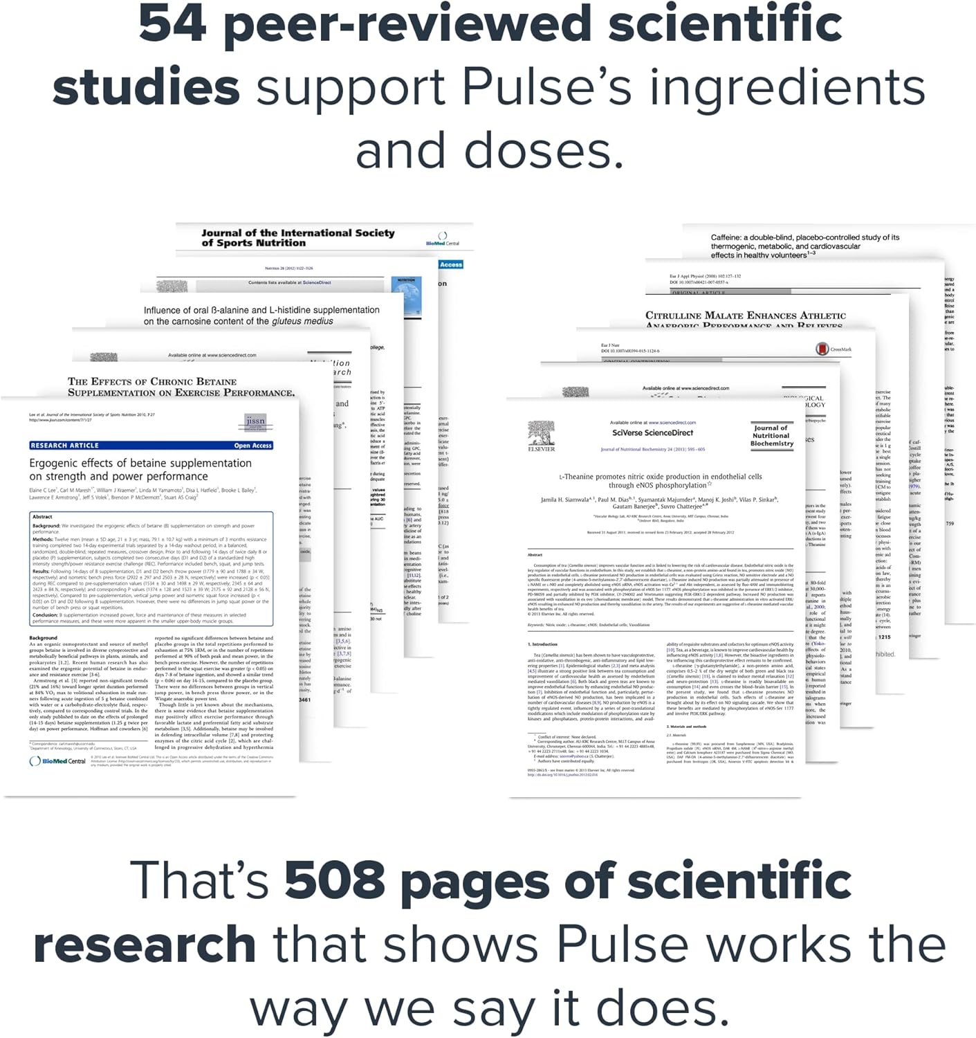 LEGION Pulse Pre Workout Supplement - All Natural Nitric Oxide Preworkout Drink to Boost Energy, Creatine Free, Naturally Sweetened, Beta Alanine, Citrulline, Alpha GPC (Caffeine Free Green Apple)