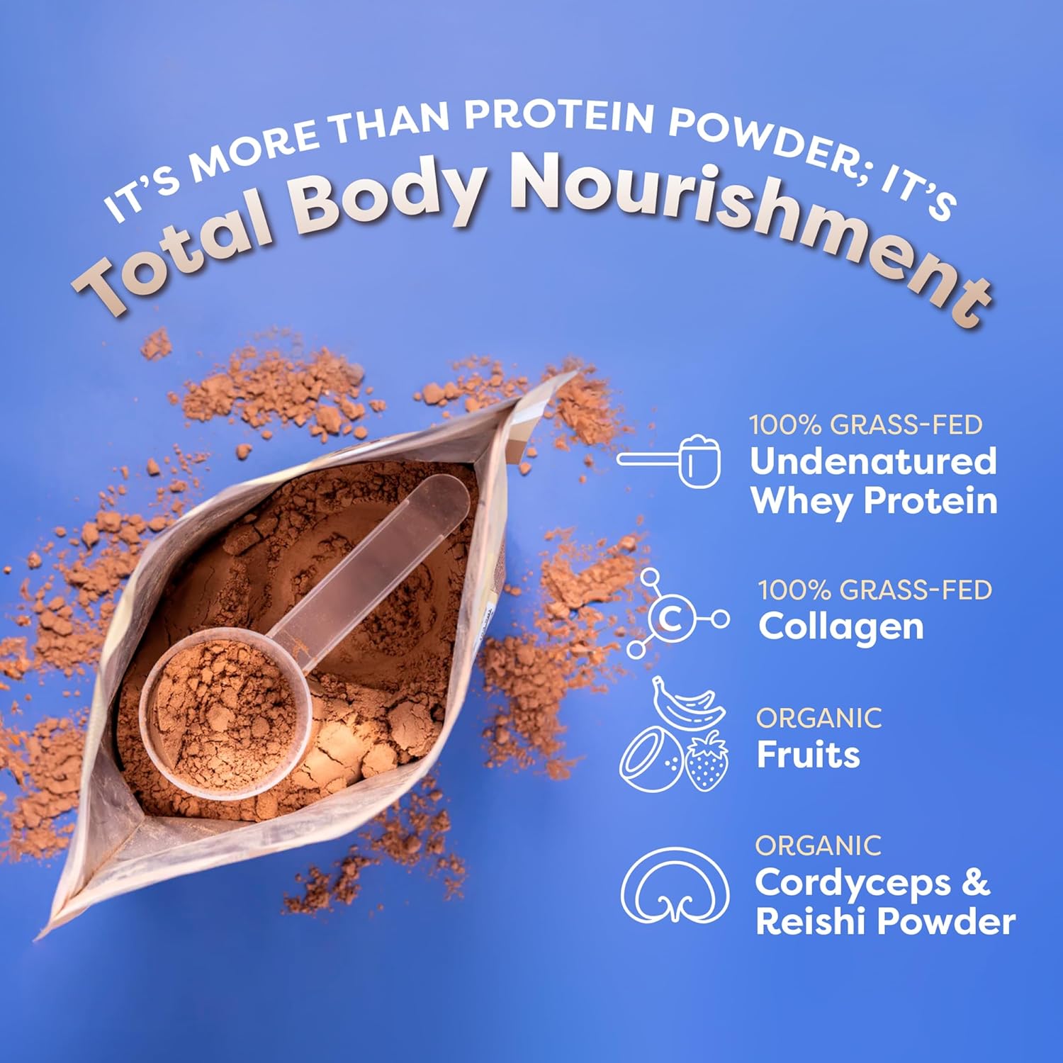 FlavCity Grass Fed Whey Protein Powder - Variety Pack - 25g Protein 10g Collagen - 5 Single Serve Packets - Made with Organic Reishi Cordyceps - Gluten Free No Added Sugars
