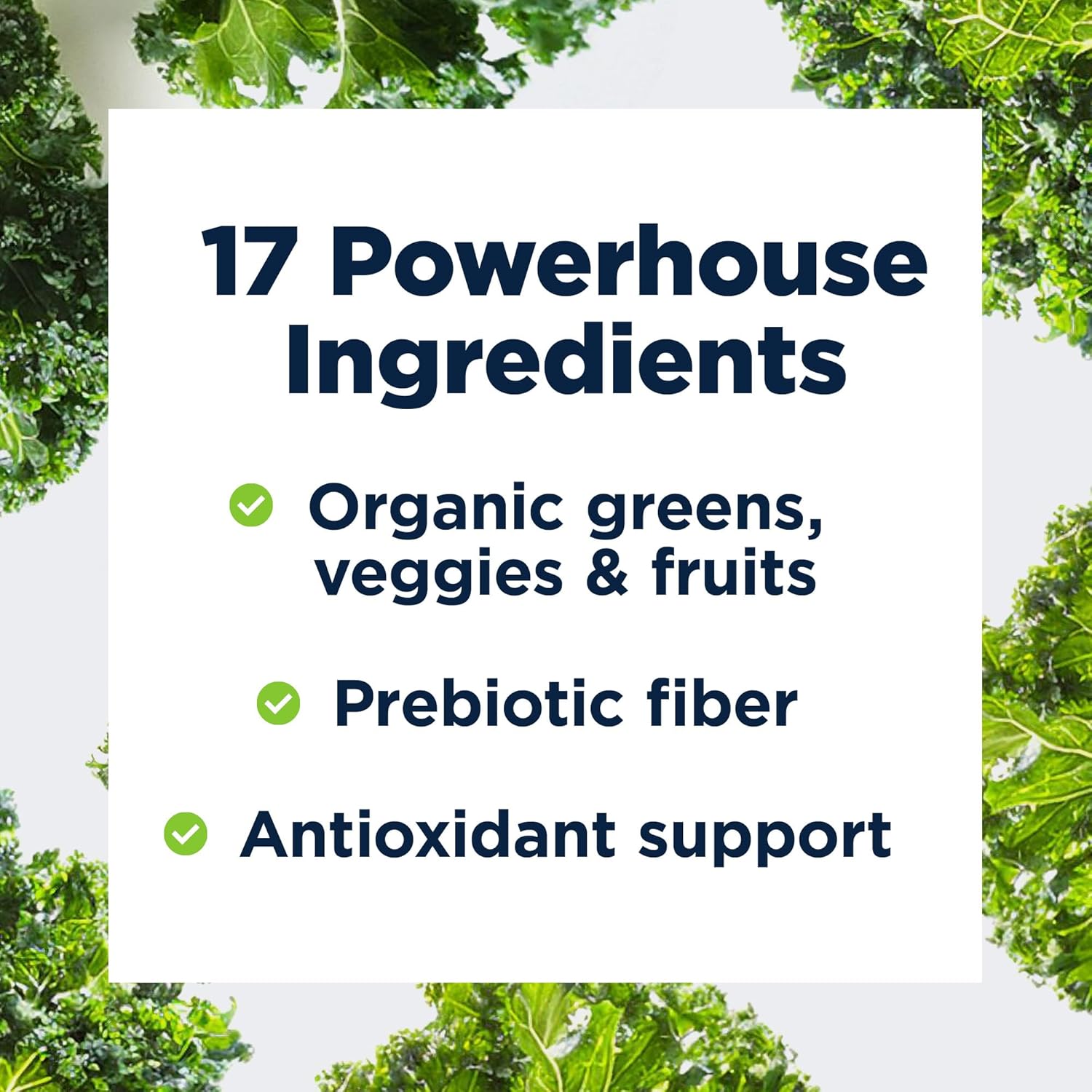 Design fo Healt EssentiaGreen an Red (Chocolate 3 Servings) Vega Superfoo Powde wit Spirulina Kal More fo Dail Nutritio an Digestiv Health