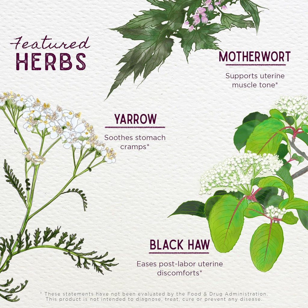 WishGarden Herbs AfterEase for After Birth Contractions - All-Natural Herbal Supplement with Cramp Bark & Black Haw Bark Soothes Afterbirth Contractions & Uterine Cramping, Postpartum Essentials, 2oz