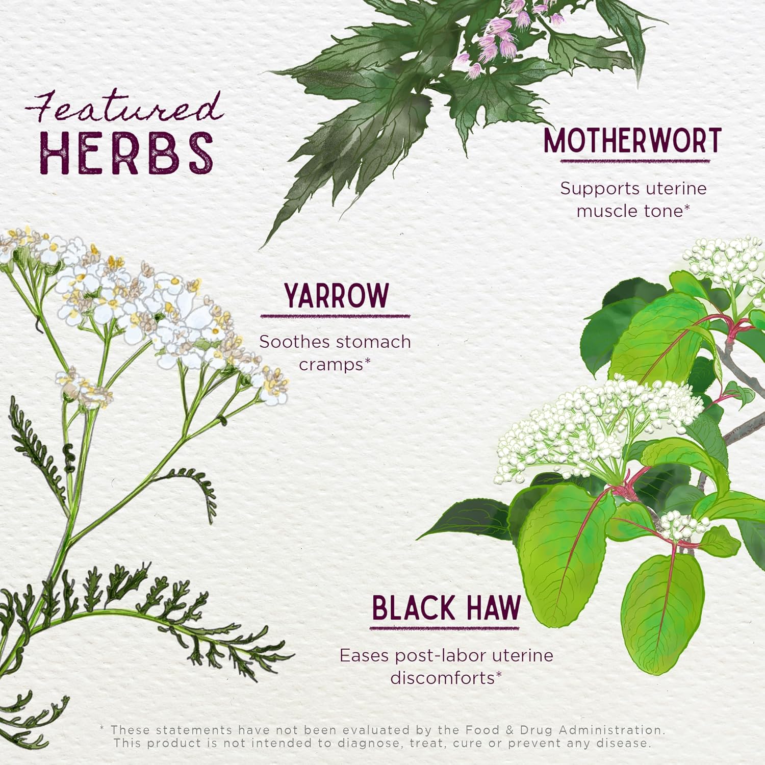 WishGarden Herbs AfterEase for After Birth Contractions - All-Natural Herbal Supplement with Cramp Bark & Black Haw Bark Soothes Afterbirth Contractions & Uterine Cramping, Postpartum Essentials, 2oz
