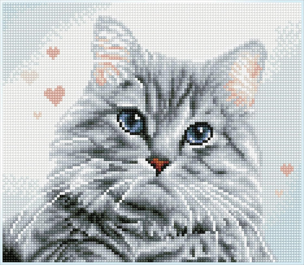 DIAMON DOT Pricill Pre-Frame Ki Ca Diamon Paintin Kit fo Adult Diamon Ar Kit Relaxin Creativ Craf Ki wit Dot Gem 12inchx10.5inch