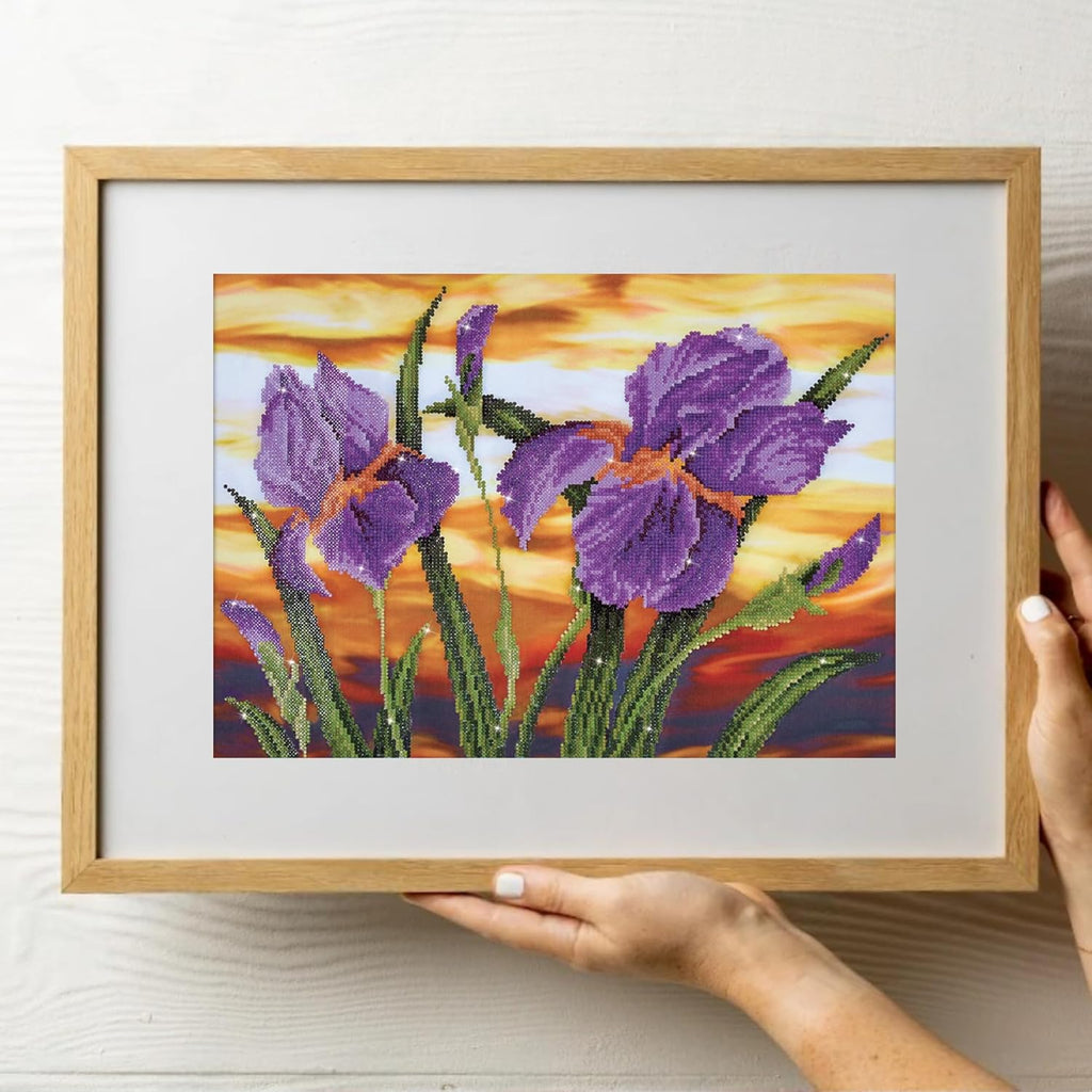 DIAMON DOT Iri Sunse Flower Diamon Paintin Kit fo Adult Diamon Ar Kit Relaxin Creativ Craf Ki wit Dot Gem 14.6inchx20.5inch