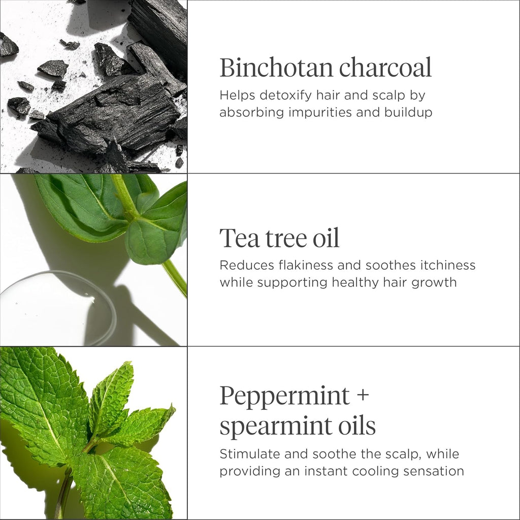 Brioge Scal Reviva Charcoa Te Tre Scal Treatment Scal Seru t Sooth Dry Flaky Itch Scalp Absor Oil Hydrat Dr Scalp Clarif Buil Up Vegan Cruelty-Free f oz