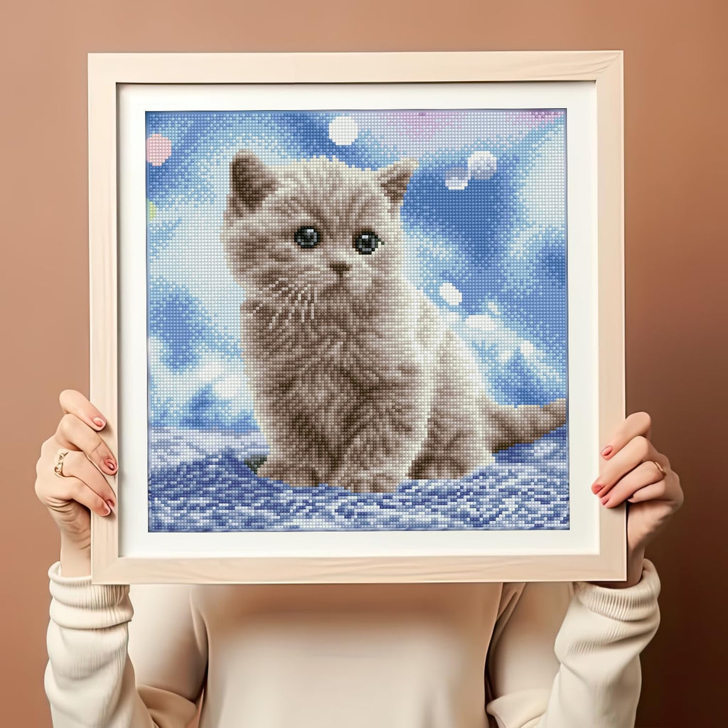 DIAMON DOT Bubble Diamon Paintin Kit fo Adult Diamon Ar Kit Relaxin Creativ Craf Ki wit Dot Gem 13.6x13.6