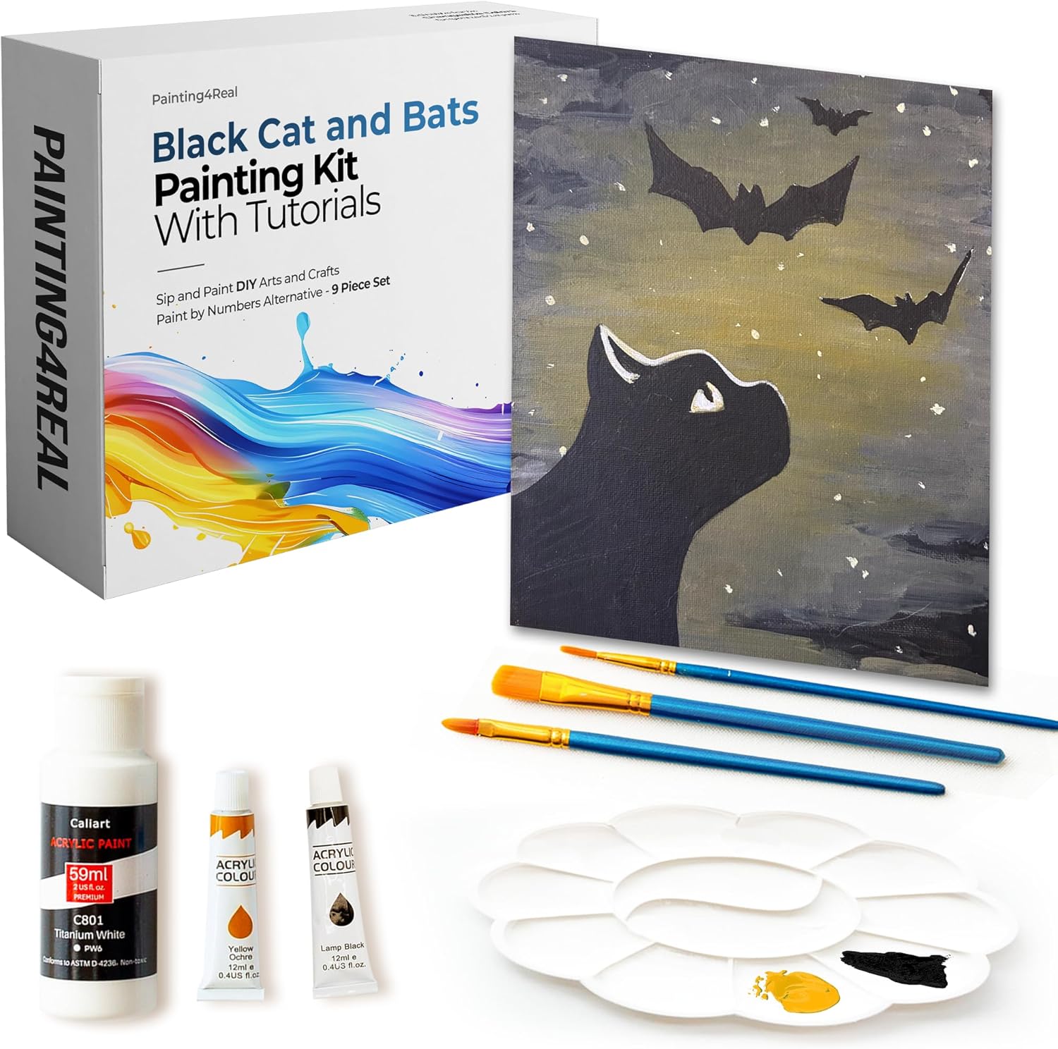 Painting4Rea DI Paintin Clas Ki fo Adult wit Vide Tutorials Lear t Pain Blac Ca an Bat Ho t Pain wit Acrylic Paintin Ar Supplie  Piec Acryli Pain Set