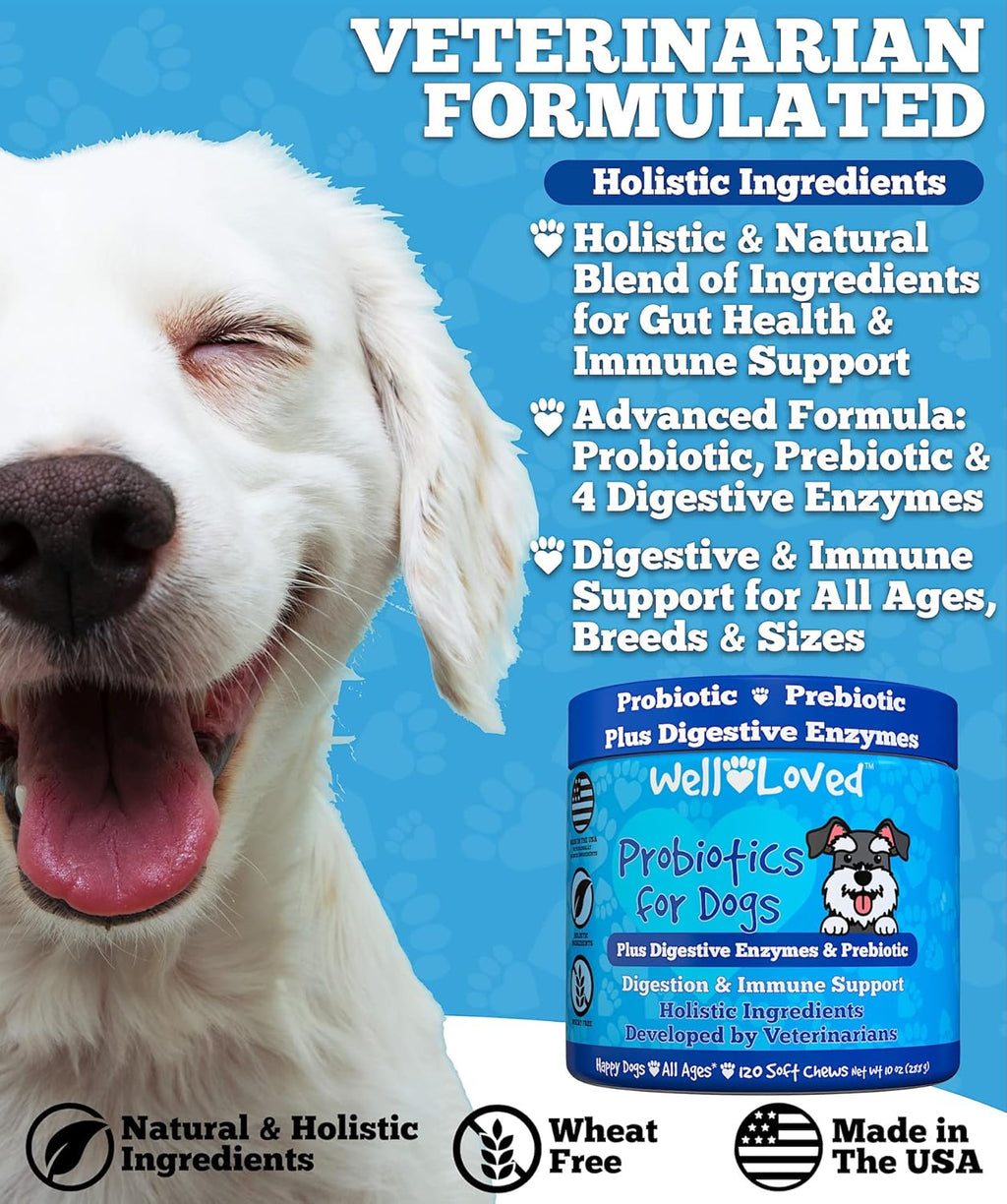 Probiotic fo Dogs Do Probiotics Mad i USA Ve Develope fo Gu Health Yeas Balance Itch Skin Diarrhe Ga Relief Chew wit Prebioti Digestiv Enzymes Digestiv Support