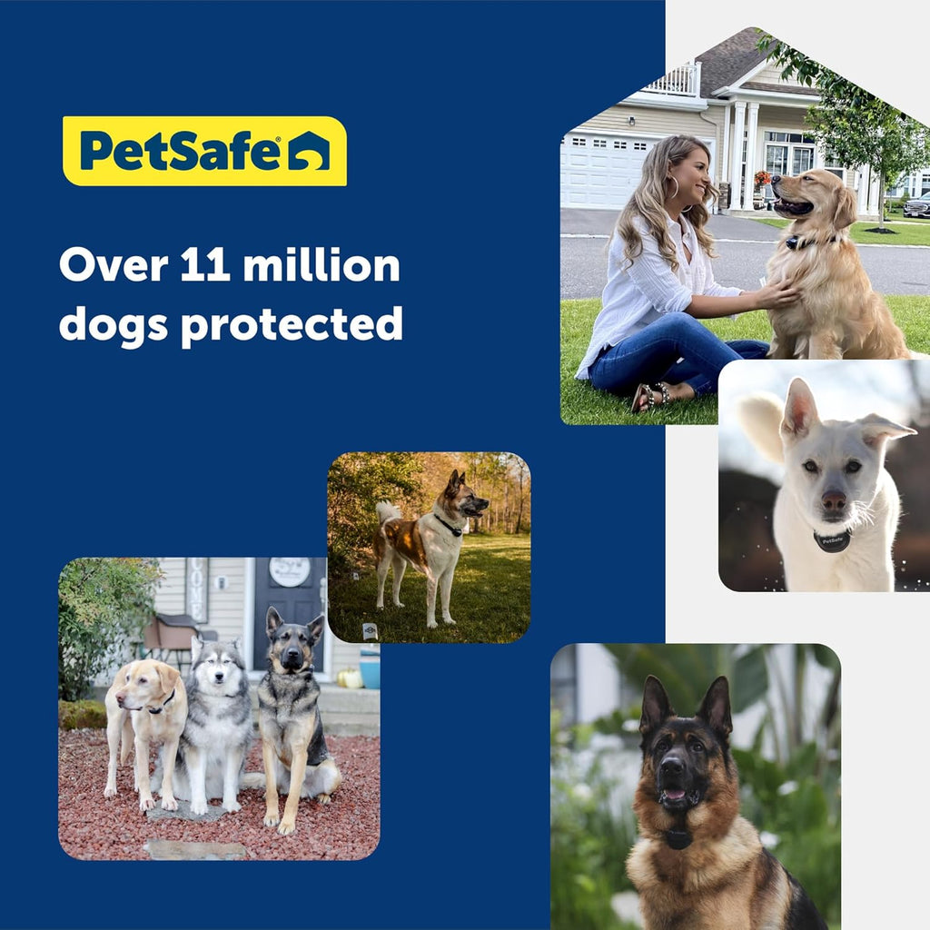 PetSafe Stay Play 2-Dog Wireless Fence for Stubborn Dogs - America's Safest Wireless Pet Containment System - No Dig Electric Fence - Circular Boundary - Secure 3/4-Acre Yard - for Dogs 5lb+