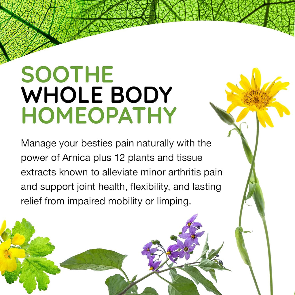 MediNatur T-Relie Pe Arthriti Relie Arnic +1 Powerfu Natura Homeopathi Medicine Hel Eas Hi Join Pai Sorenes Stiffnes fo Do Ca 9 Tablet ( Pack)