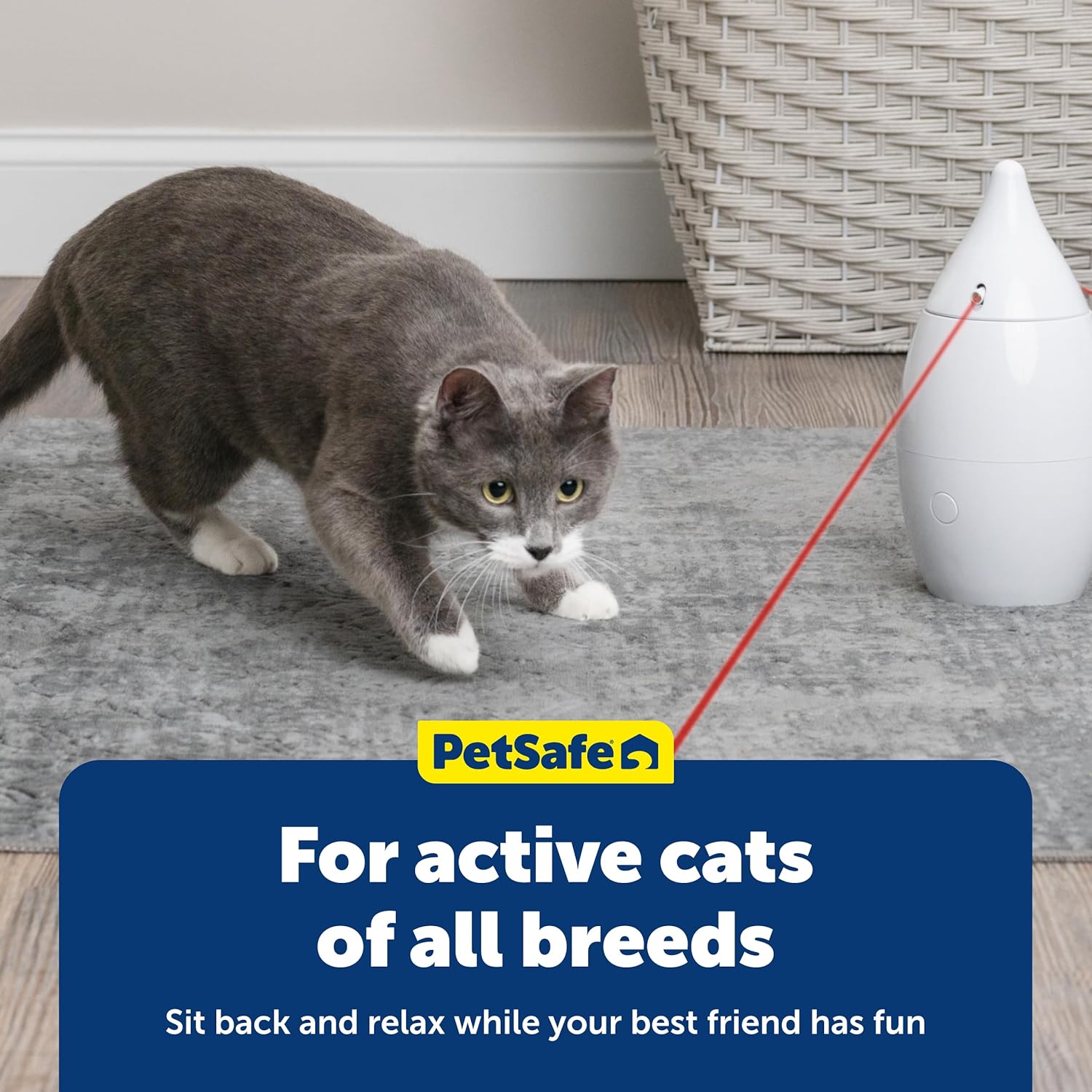 PetSafe Zoom Rotating Laser Cat Toy - Encourages Multi-Cat Play - Dual Red Laser Beams - Motion Toy - Whisper Quiet Operation - Battery Operated