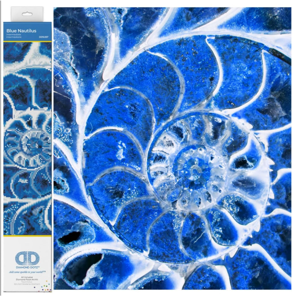 DIAMON DOT Blu Nautilu Diamon Paintin Kit fo Adult Diamon Ar Kit Relaxin Creativ Craf Ki wit Dot Gem 20x14