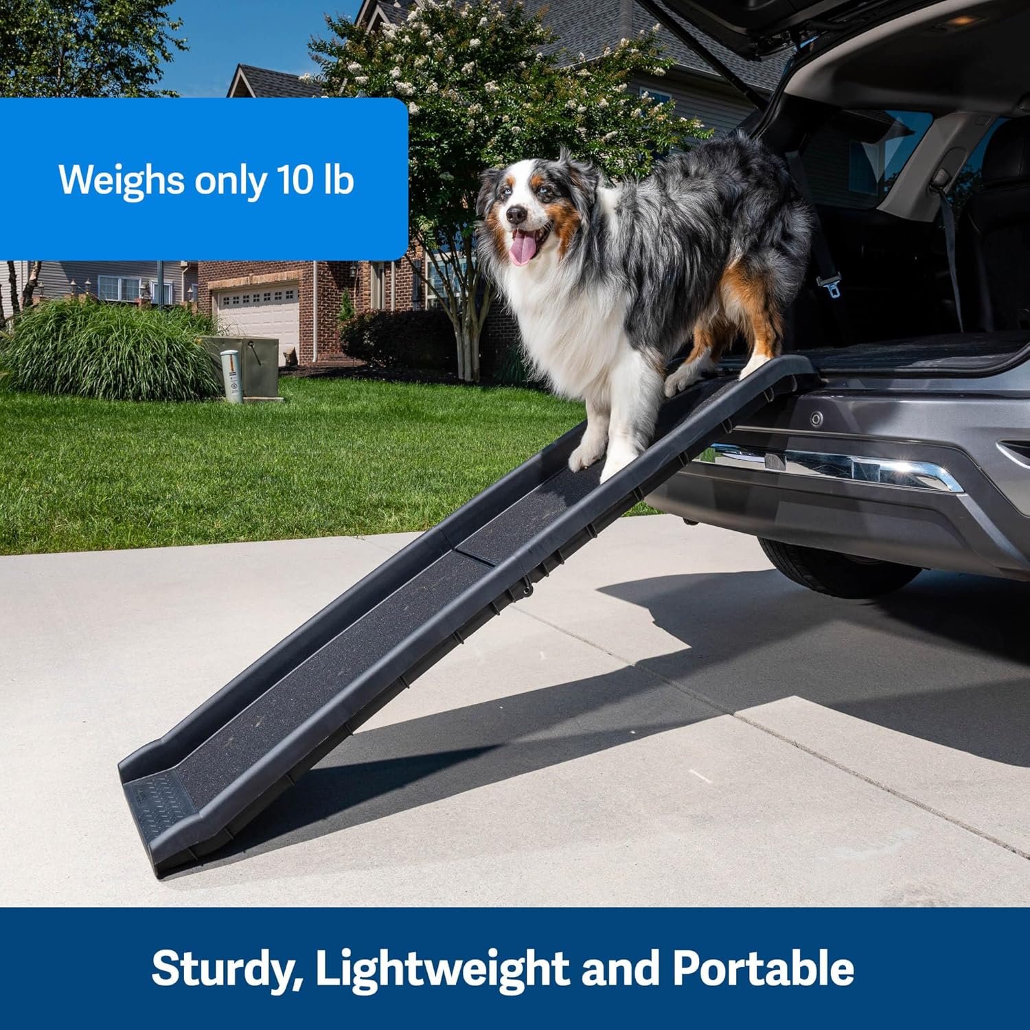 PetSaf Happ Rid Foldin Do Ram SU Compatibl Lightweigh Pe Ram wit Hig Tractio Walkin Surfac Join Strai Protectio Secur Foldabl Desig fo Compac Storage