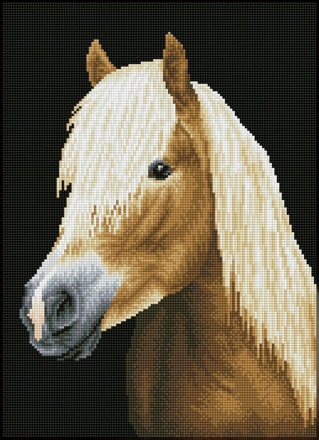 DIAMON DOT Cheste Pre-Frame Ki Hors Diamon Paintin Kit fo Adult Diamon Ar Kit Relaxin Creativ Craf Ki wit Dot Gem 13inchx18.5inch