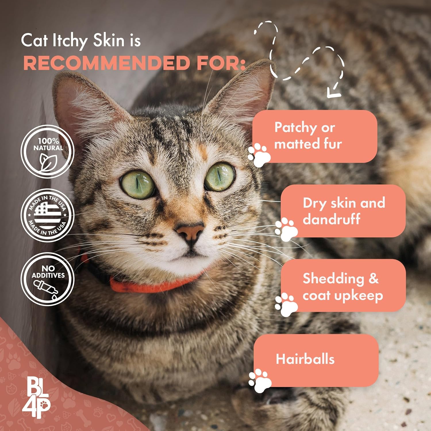 Ca Itch Ski Relie Hai Los Treatment Holisti Allerg Relie fo Cat Calm Dr Skin Dandruf Reduce Licking Scratching Patchy Matte an Sheddin Fur 40 Eas t Us Pills
