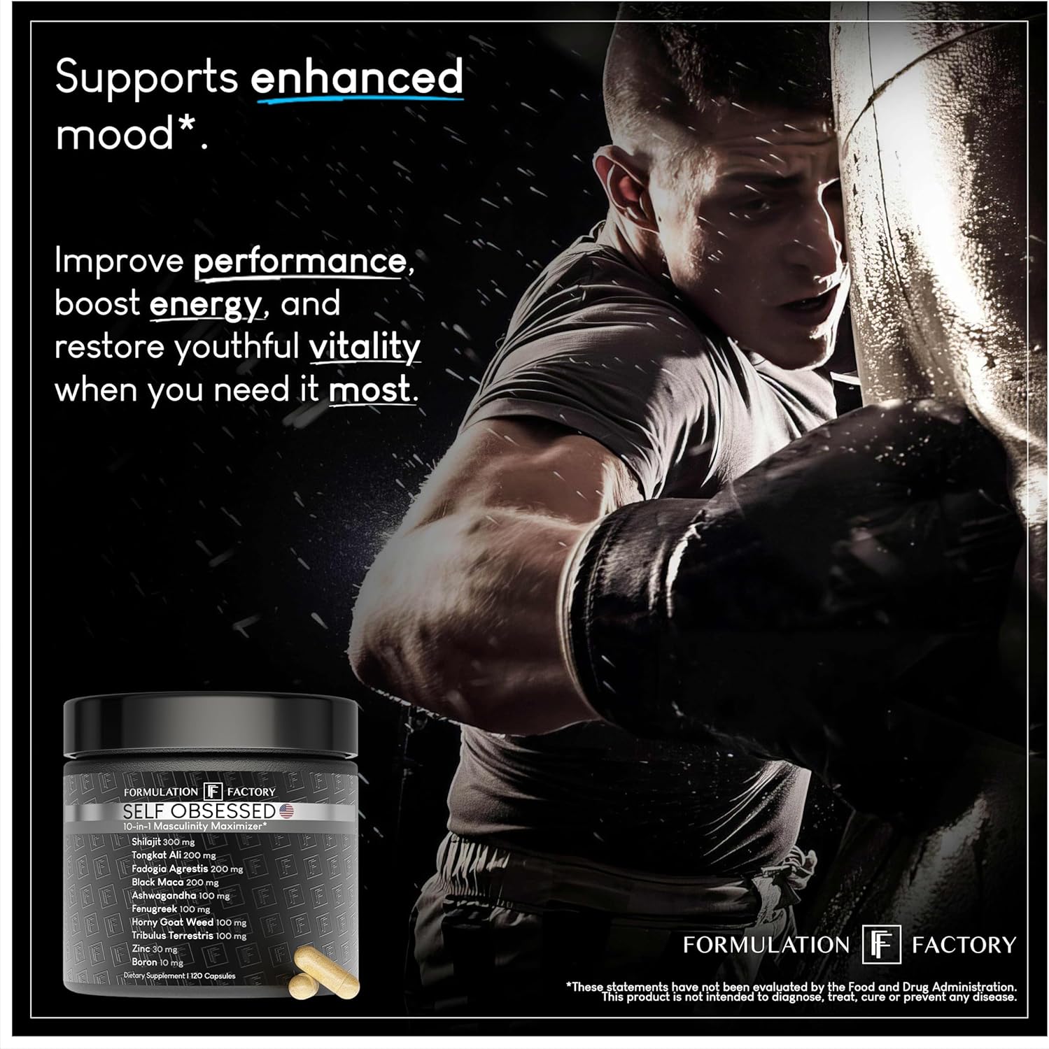 Formulation Factory Self Obsessed 10 in 1 Masculinity Maximizer Supplement, Shilajit for Men, Tongkat Ali, Ashwaganda, Fenugreek Muscle Growth, Energy, Drive, Strength, Recovery 4 Month (Pack of 2)