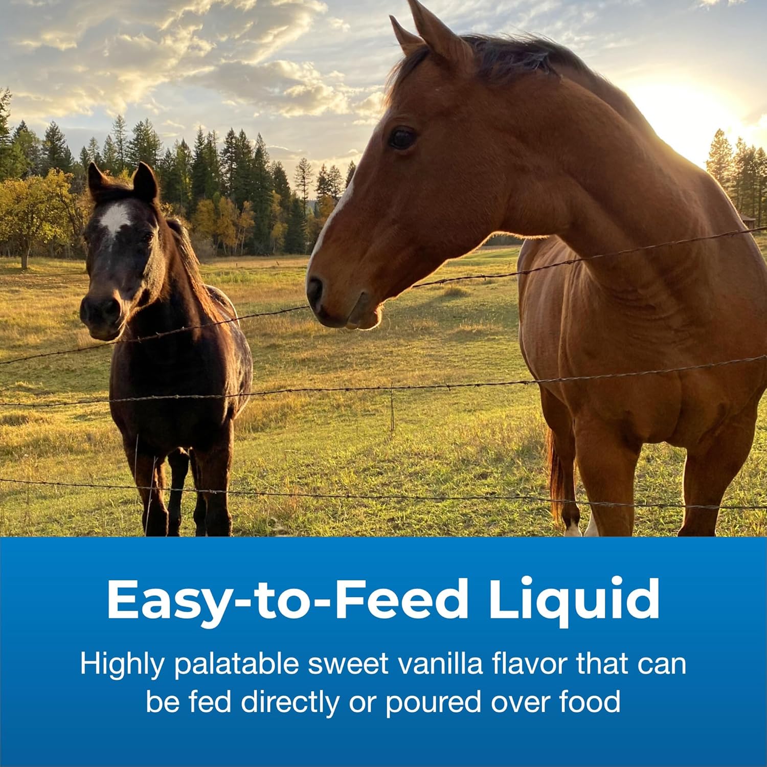 PetA Dyn Hig Calori Liqui Nutritiona Supplemen fo Livestoc  Gallo Include Adde Vitamin Excellen fo Underweight Stressed o Recoverin Animals