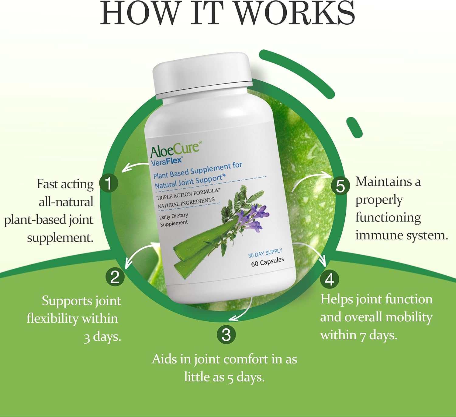 AloeCure VeraFlex Natural Joint Health, 60 Capsules, Clinically Tested Natural Plant-Based Formula to Support Comfort, Mobility and Flexibility - Featuring Organic Aloe Vera, 3-Pack