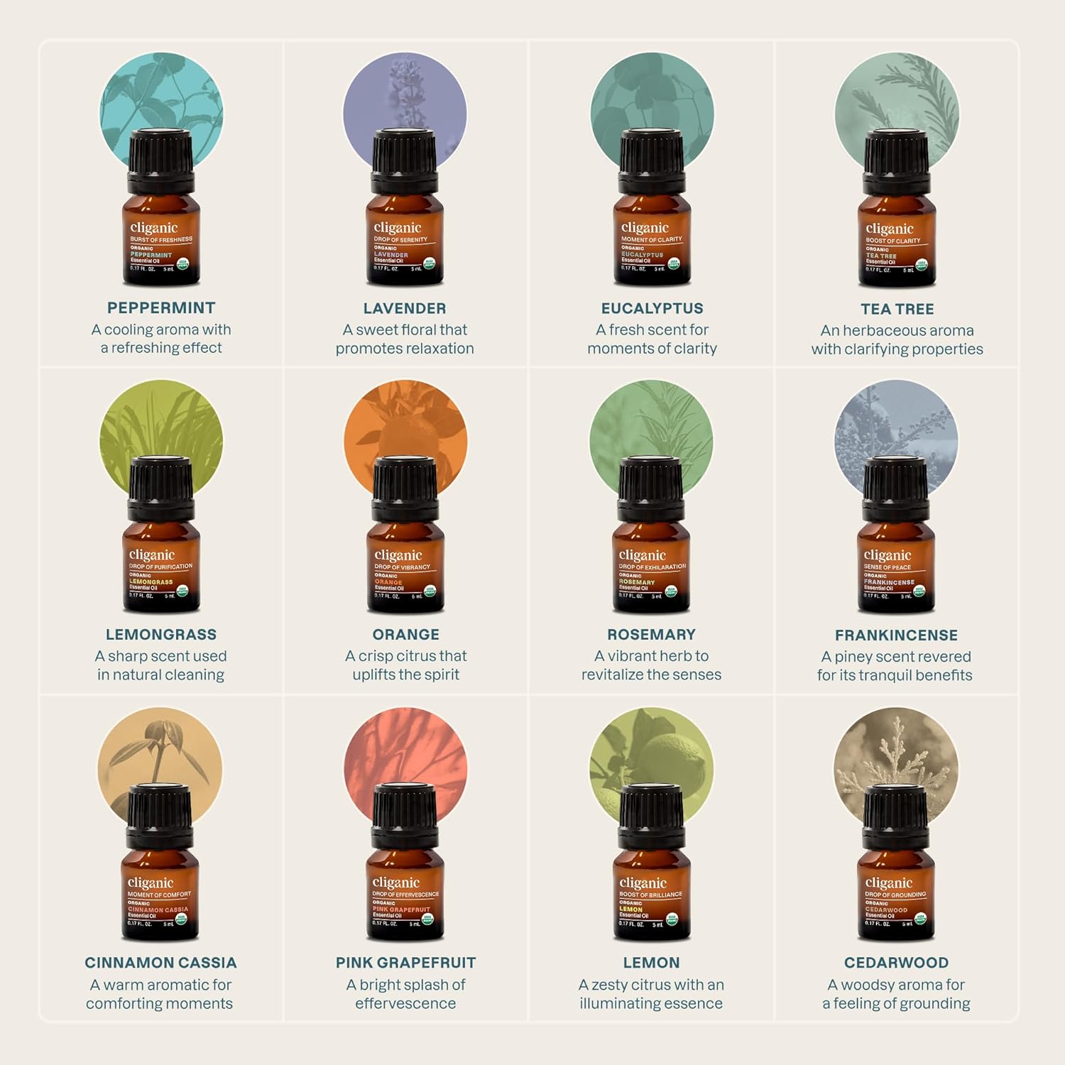 Cliganic Organic Aromatherapy TOP 12 Essential Oils Set, 100% Pure - Peppermint, Lavender, Eucalyptus, Tea Tree, Lemongrass, Rosemary, Frankincense, Orange, Lemon, Cassia, Cedarwood Grapefruit