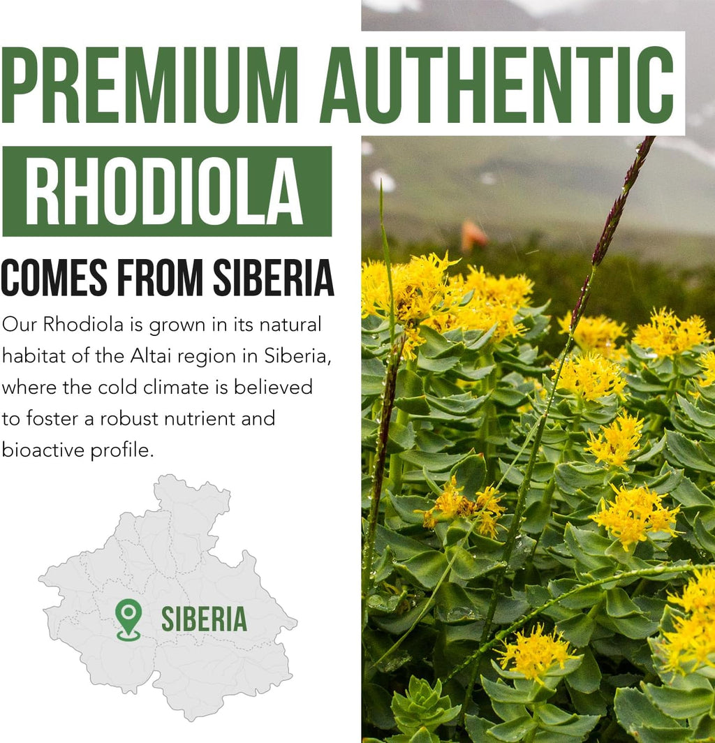 Ma Strengt Siberia Rhodiola? Rhodiol Rose 5 Rosavins 2 Salidrosid BioPerine fo Enhance Absorptio Help Suppor Stress Energ Focus Grow i Siberia DN Verifie (6 Capsules)