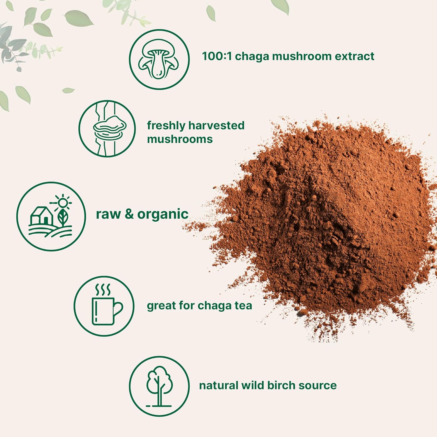 Micr Ingredient Organi Chag Mushroo Extract 1 o 100: Wil Harveste Support Immun Antioxidan Defens Grea fo Te Smoothie Non-GMO Vega Friendly