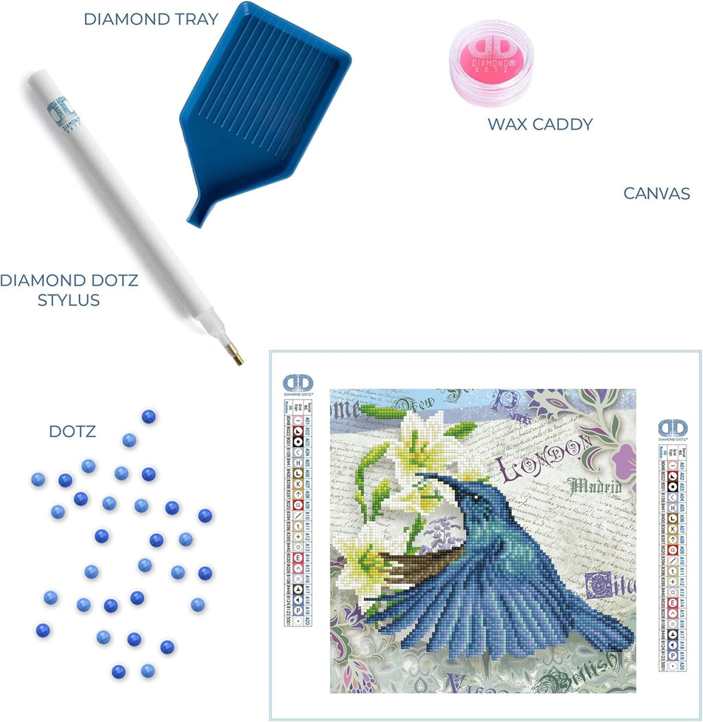 DIAMON DOT Hummingbir Travel Bir Diamon Paintin Kit fo Adult Diamon Ar Kit Relaxin Creativ Craf Ki wit Dot Gem 12inchx12inch